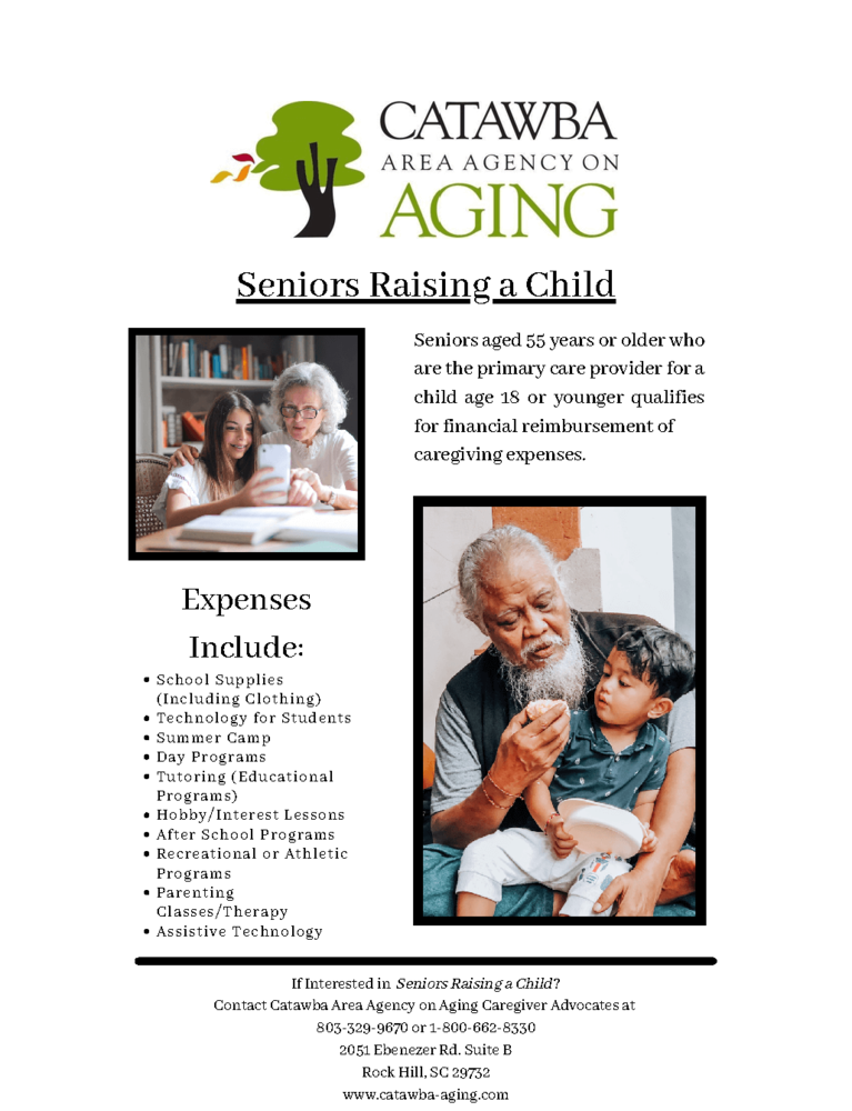 Flyer - Seniors Raising a Child - all info above