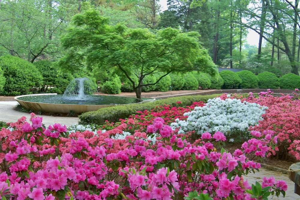 Glencairn Garden fountain