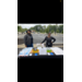 two girls sitting outside at a table