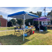 Two canopies are set up on the grass and have tables underneath them. 