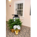 The podium at the front of the room has two larger ferns and a Poinsettia sitting in front of it. 